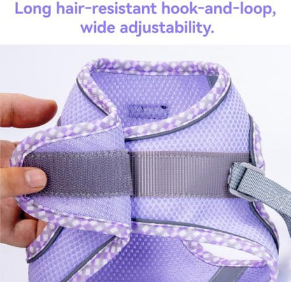 Petank Step in Dog Harness No Pull and Leash - Image 5
