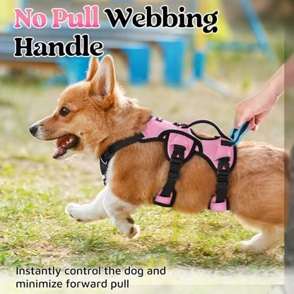 rabbitgoo Escape Proof Dog Harness - Image 4