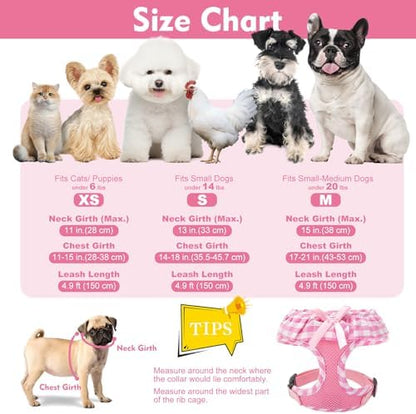EXPAWLORER Step-in Dog Harness Small Sized and Leash Set - Image 4