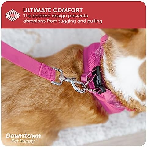 Downtown Pet Supply Step in Dog Harness No Pull - Image 6