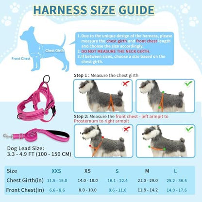 SlowTon No Pull Small Dog Harness and Leash Set - Image 5