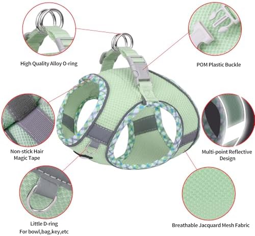 AIITLE Step in Dog Harness & Leash Set - Image 6
