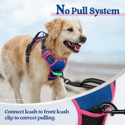 rabbitgoo Dog Harness, No Pull for Small Dogs - Image 5