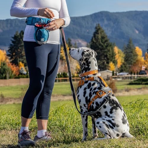 PetSafe 3 in 1 No-Pull Dog Harness - Image 2