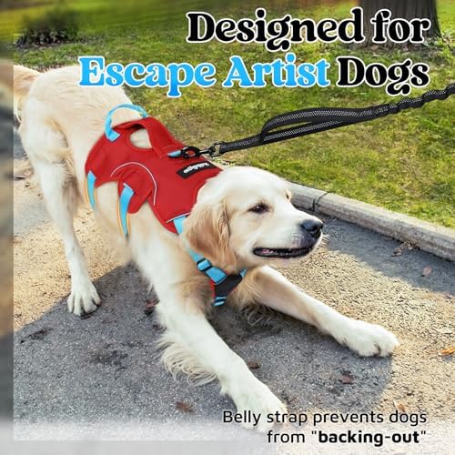 rabbitgoo Escape Proof Dog Harness - Image 2
