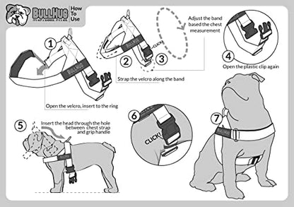 BULLHUG Adjustable Dog Harness– No Pull, No Choke – - Image 6