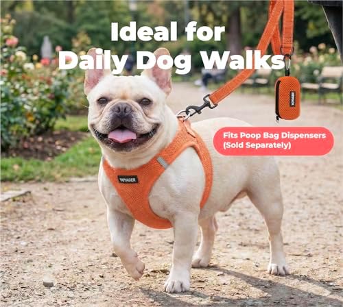 Best Pet Supplies Voyager Nylon Dog Leash - Image 3