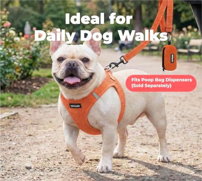 Best Pet Supplies Voyager Nylon Dog Leash - Image 3