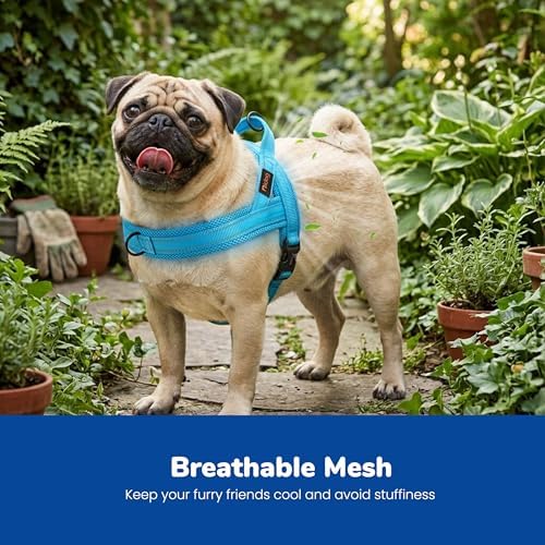 Didog No Pull Dog Harness for Small Dogs, Breathable Mesh Padded - Image 2