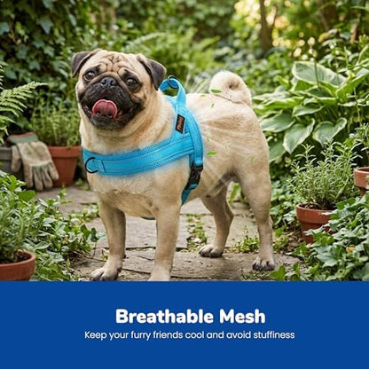 Didog No Pull Dog Harness for Small Dogs, Breathable Mesh Padded - Image 2
