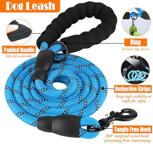 LOBEVE No Pull Dog Harness, Collar & Leash Set - Image 5