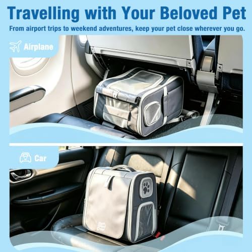 Pet Carrier Backpack with Wheels Rolling - Image 5