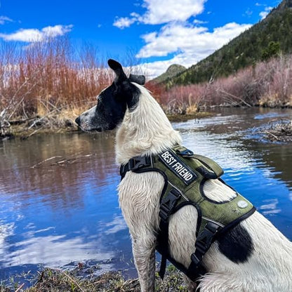 AUROTH Escape Proof Dog Harness - Image 5