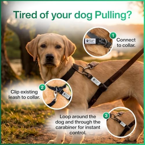 No-Pull MiracleLeash Chest Loop Attachment - Image 6