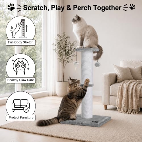 34"Tall Cat Scratching Post for Large Cats, Stable Base, Light Gray - Image 3