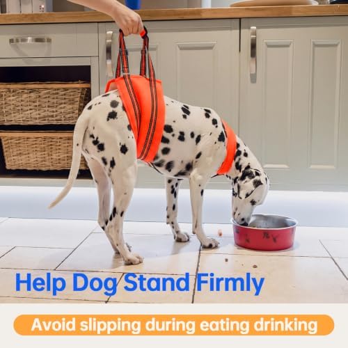 PAWsay Adjustable Dog Sling for Medium Dog Hind Leg Support - Image 5