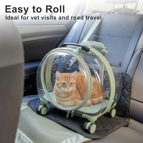 Transparent Hard Shell Cat Carrier - Image 3