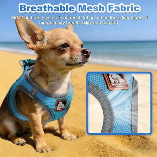 Dog Harness Medium Sized Dogs, Puppy Harness and Leash Set - Image 4