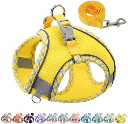 AIITLE Medium Dog Harness and Leash Set by AIITLE-FORPETSBETTERLIFE