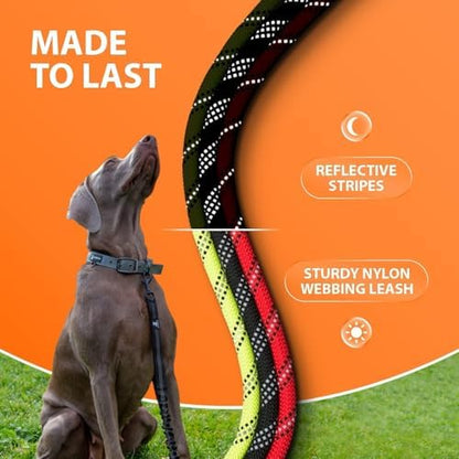 SparklyPets Heavy Duty Bungee Rope Leash - Image 6