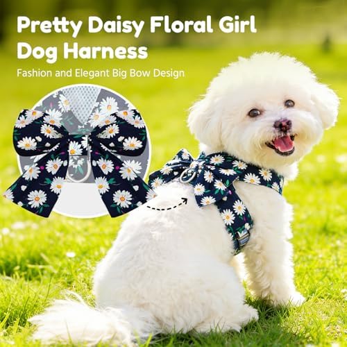 BAEJMJK Dog Harness and Leash Set - Image 2