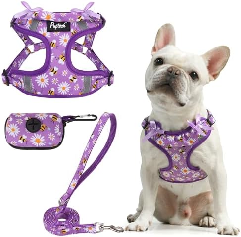 PUPTECK Dog Harness and Leash Set Small Sized, Step in No Pull Adjustable Puppy by PUPTECK