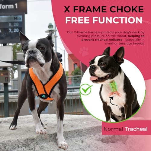 Gooby Orange X-Large Comfort X Head in Harness - Image 5