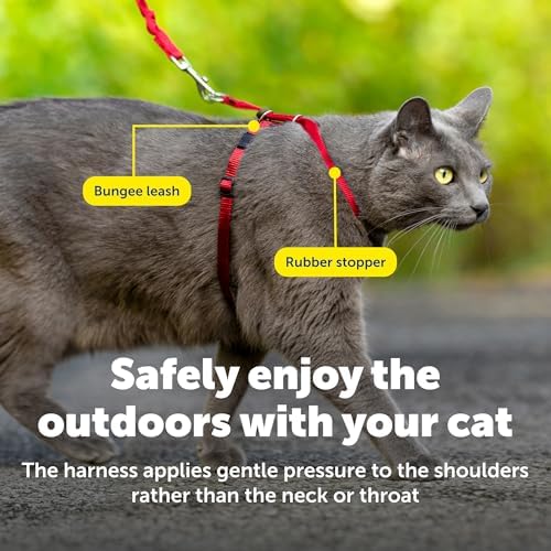 PetSafe Come With Me Kitty Harness and Bungee Leash, Harness - Image 5