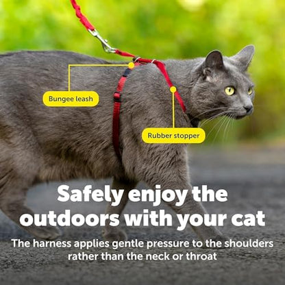 PetSafe Come With Me Kitty Harness and Bungee Leash, Harness - Image 5