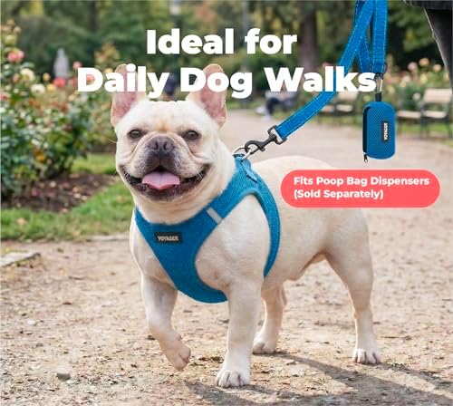 Best Pet Supplies Voyager Nylon Dog Leash - Image 4