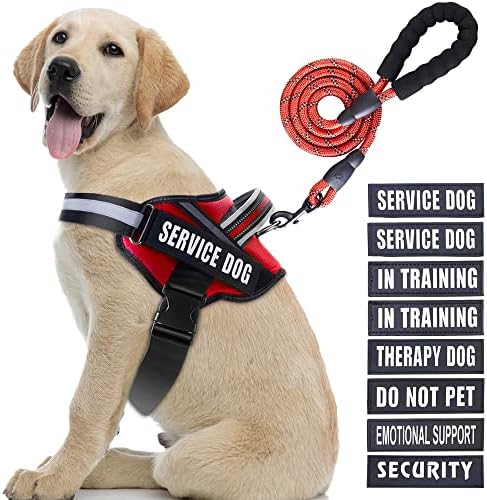 Service Dog Vest Harness and Leash Set, Animire in Training Dog Harness by Animire