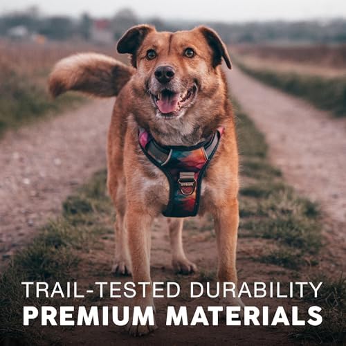 Embark No Pull Dog Harness, Reflective Adjustable Training Vest, No Choke - Image 6