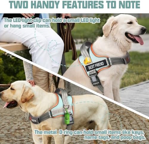 AUROTH Dog Harness and Leash Set - Image 3