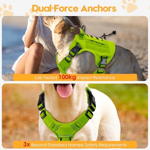 Heavy-Duty Tactical Dog Harness - Image 4