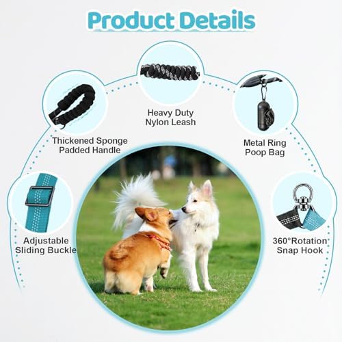 Double Dog Leash - Image 3