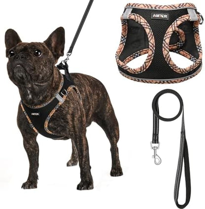 AMTOR Small Dog Harness with Leash Set, No Escape Easy Walk Puppy Harnesses by AMTOR