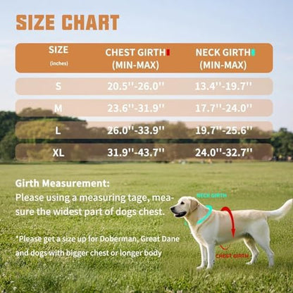 AUROTH Dog Harness and Leash Set - Image 6