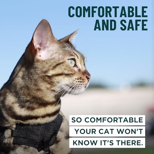 OutdoorBengal Houdini™ Escape Proof Kitten Harness + Leash - Image 4