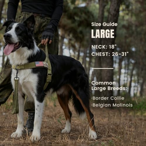 Forestpaw No Pull Dog Harness - Image 4