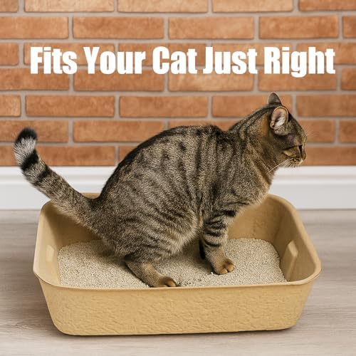 JINVOGREEN 6 Pack Disposable Litter Boxes - Image 3