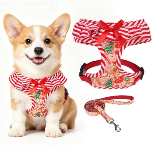 EXPAWLORER Christmas Dog Harness and Leash Set Small Sized by EXPAWLORER