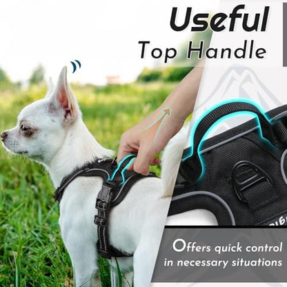 Eagloo Dog Harness for Small Dogs, No Pull Pet Vest - Image 5