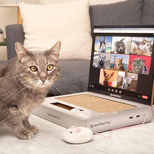ScratchPad Pro — Cardboard Laptop Cat Scratcher by Relatable - Image 5