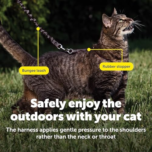 PetSafe Come With Me Kitty Harness and Bungee Leash, Harness - Image 4