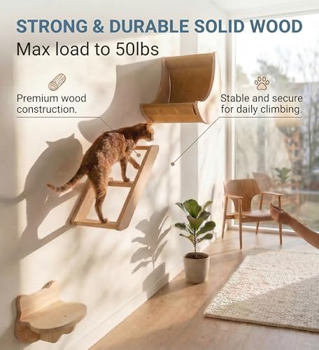 Cat Wall Shelves Set, Solid Wood Moon Bed, Perch & Stair - Image 3
