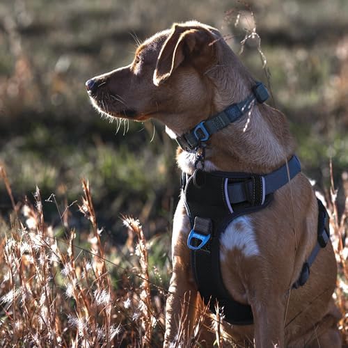 Embark No Pull Dog Harness, Reflective Adjustable Training Vest, No Choke - Image 3