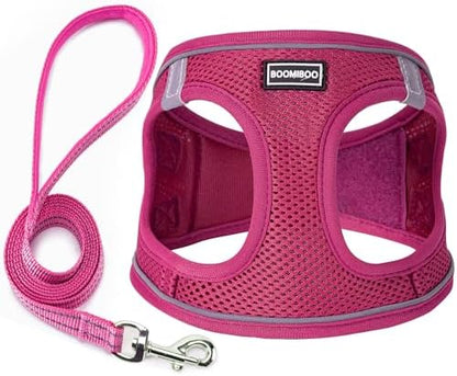 Dog Harness with Leash Set, Step-in Adjustable Puppy Vest, Rose Red XL by BOOMIBOO