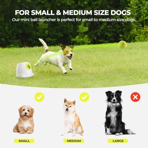 AFP Automatic Ball Launcher Dog Ball Thrower Machine Interactive Hyper Fetching - Image 4
