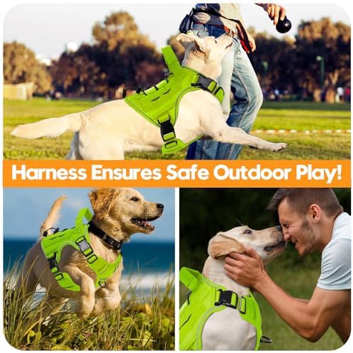 Heavy-Duty Tactical Dog Harness - Image 6