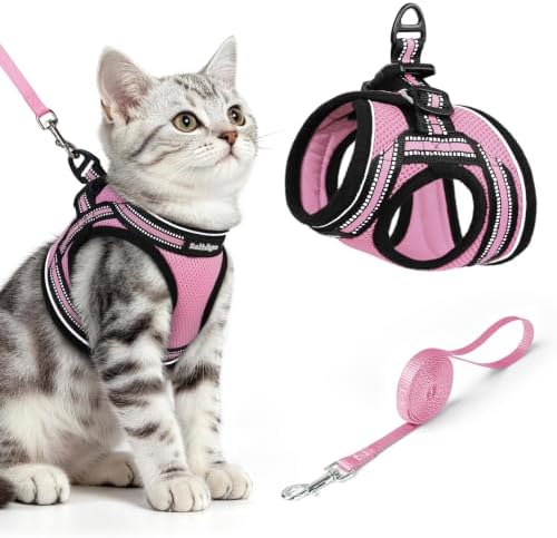 rabbitgoo Cat Harness and Leash Set, Step-in Soft Vest by rabbitgoo